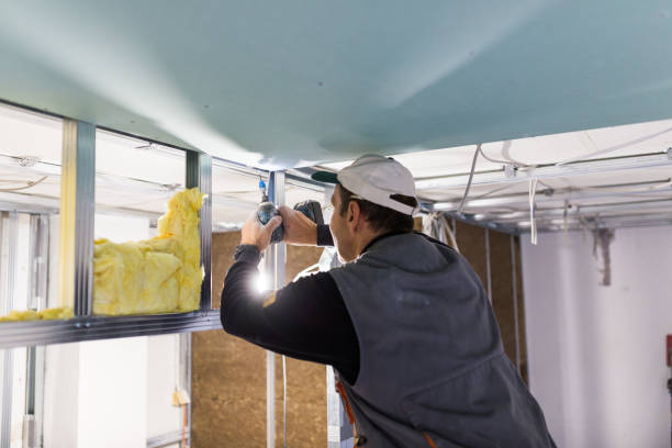 Insulation for New Construction in Island Lake, IL