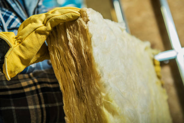 Best Garage Insulation Installation  in Island Lake, IL