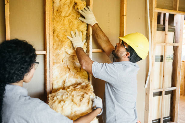  Island Lake, IL Insulation Contractor Pros