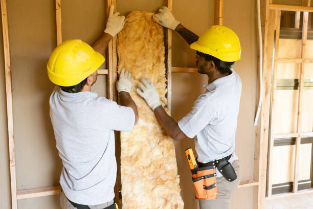 Professional Insulation Contractor in Island Lake, IL