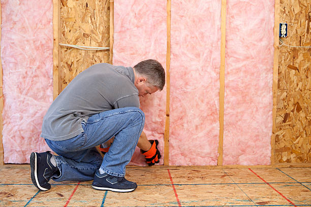 Insulation Inspection Services in Island Lake, IL