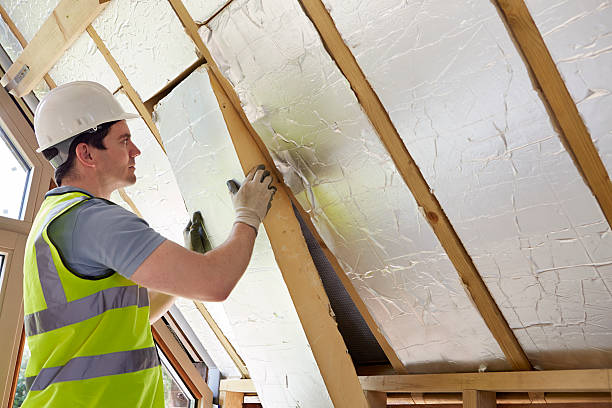 Best Crawl Space Insulation  in Island Lake, IL