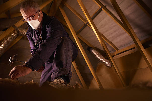 Best Spray Foam Insulation  in Island Lake, IL